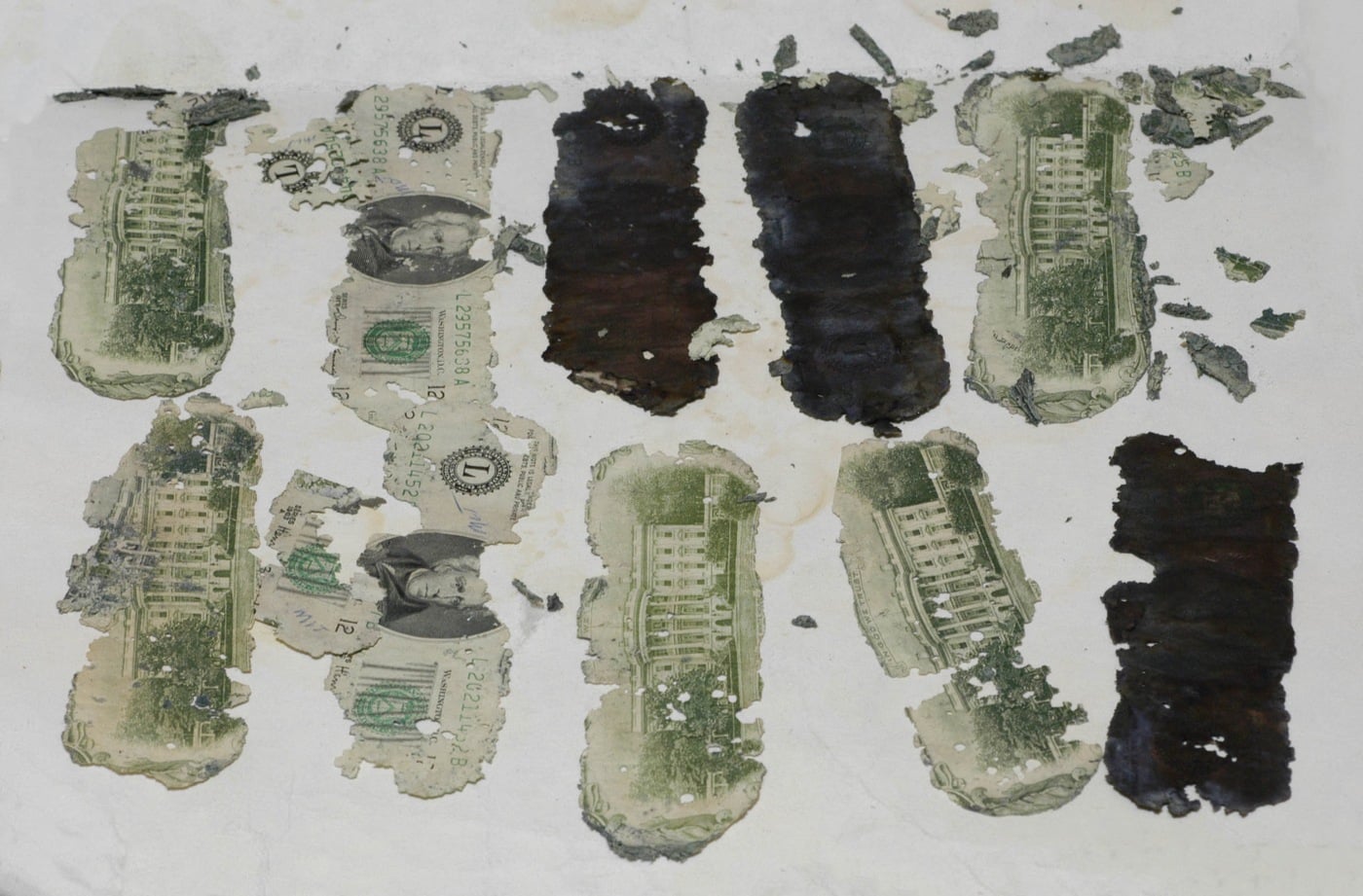 Decayed bundles of ransom money recovered at Tina Bar in 1980, FBI evidence photograph